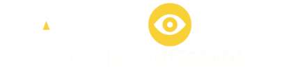 ValeForte Seguranca Integrada